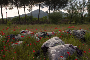 May 23, 2015 – Terzigno, Italy: Dozens of bags containing textiles waste are seen near Ranieri quarry. Ranieri quarry is an area of extraction of lava material disposed on June 5, 1995 with the establishment of the Vesuvius National Park. The landfill, which lies entirely in the Vesuvius National Park, despite the environmental constraints, in 2000 was used as a landfill with a promise to be “cleaned up” within a year. Due to the loss of volume and the collapse of the waterproof membrane that covered the landfill at the quarry, it has turned into a lake of rainwater unhealthy where floating waste of all kinds.
