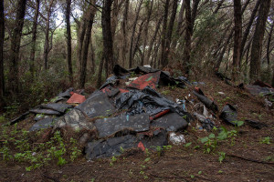 February 4, 2014 – Castel Volturno, Italy: Textile illegally dumped in the pine forest, few meters from the sea.