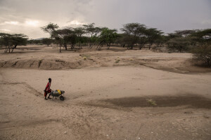 A child pushes a wheelbarrow inside a dried river in Lochwangamatak village, located in Turkana County, northwest Kenya on October 18, 2024. Kenya’s rivers are drying up rapidly, with low rainfall and global warming being among the main causes of this phenomenon.