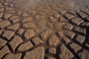 Semi-arid earth in a section of the dried Kawalase river located in Turkana County, northwest Kenya on October 21, 2024. Kenya’s rivers are drying up rapidly, with low rainfall and global warming being among the main causes of this phenomenon.