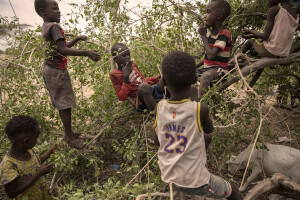 Children eat leaves from an Esekon tree inside the Loreng’elop village, located in Turkana County, northwest Kenya on October 21, 2024. Due to the food insecurity generated by the severe drought, children living in the hot and dry areas of Kenya are forced to eat only the leaves of the trees for very long periods and for this reason they can easily contract infections or diseases.